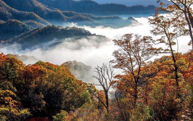 安徽一处“不起眼”的小众景区情景不输塔川还被誉为百宝山！完美体育官网(图1)