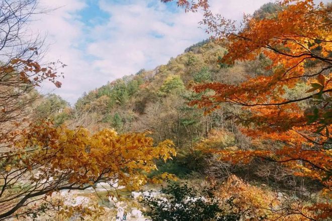 安徽一处“不起眼”的小众景区情景不输塔川还被誉为百宝山！完美体育官网(图2)