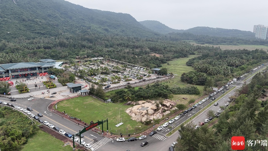 完美体育官网寒潮来袭武汉再现文雅雨凇景观