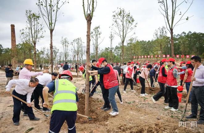 广东乡完美体育官网间绿化已种植苗木371万株(图2)