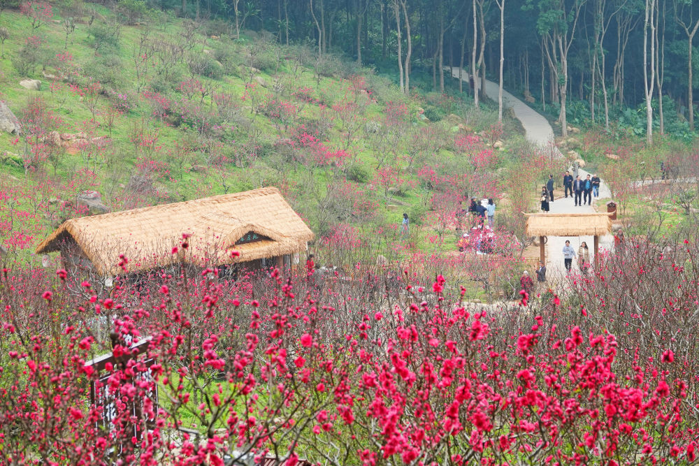 北京都有哪些景点(北京十大旅逛景点完美体育官网)