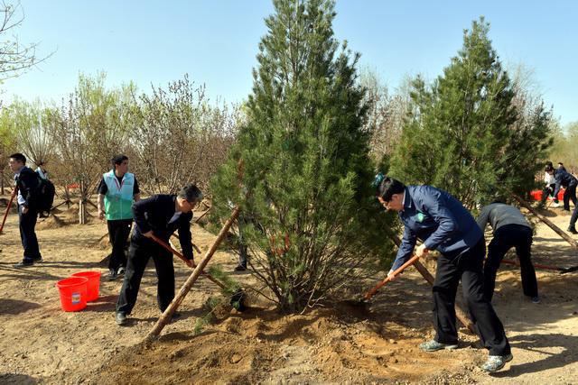 完美体育官网寰宇绿化委：春季植树制林张开职守植树尽责体例有八大类(图1)