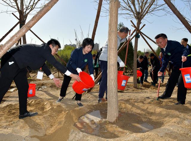 完美体育官网寰宇绿化委：春季植树制林张开职守植树尽责体例有八大类(图2)