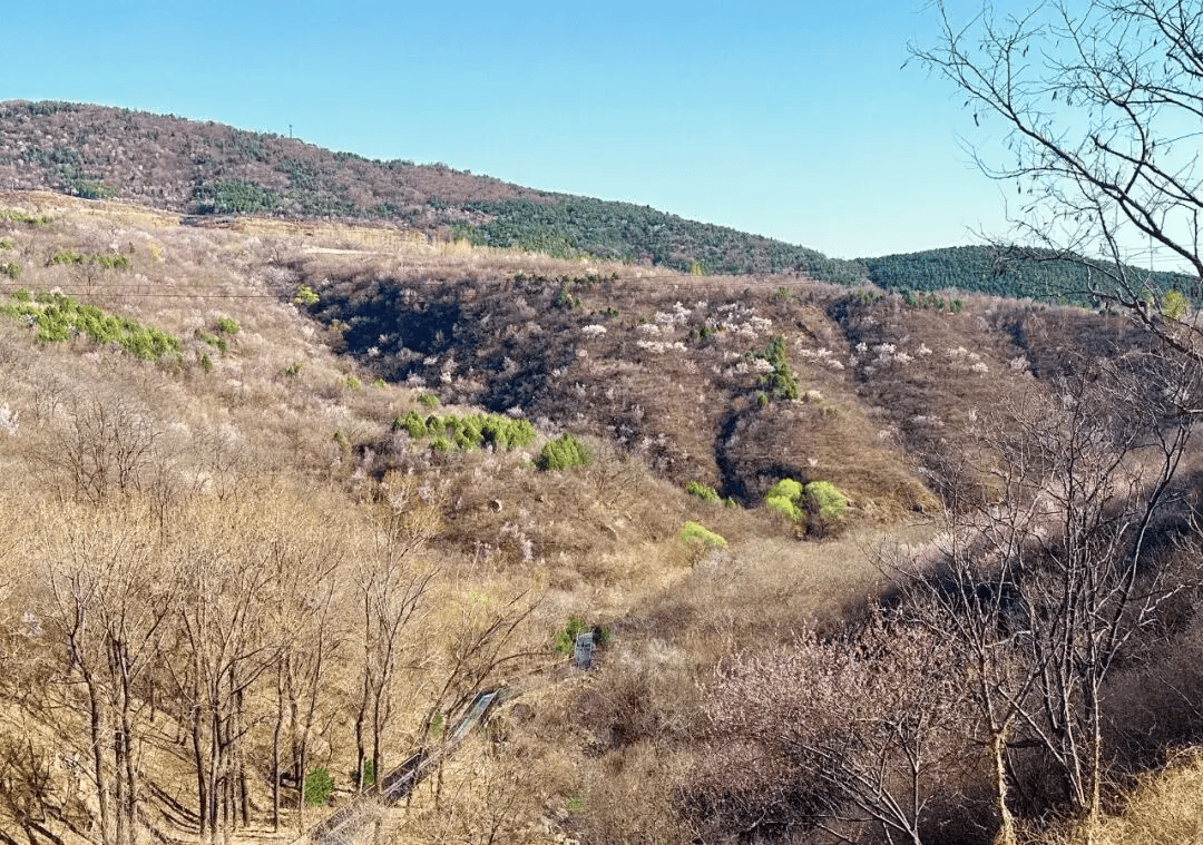 完美体育官网饱览西山得意！石景山这处绿道创设加快(图3)