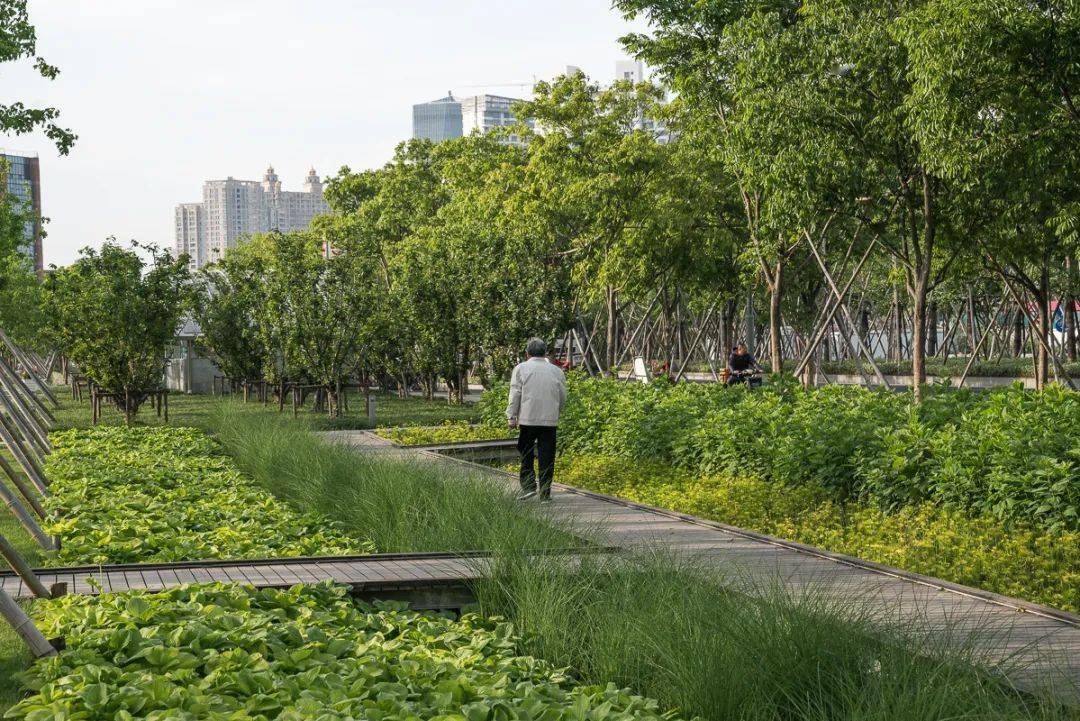 十大都邑大家空间景观演绎生存与完美体育官网场景的完善互嵌(图41)