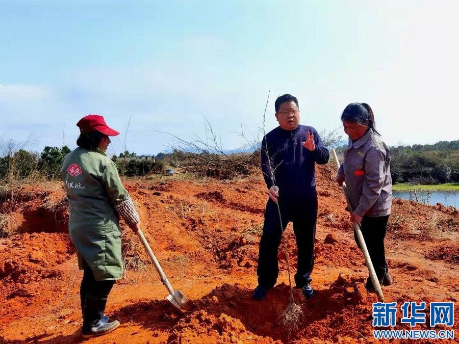 科学绿化 不单青绿——江西春季植树制林睹闻完美体育官网(图3)